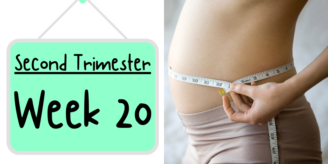 Pregnancy Week by Week: Week 20